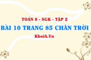 Bài 10 trang 85 Toán 8 Chân trời sáng tạo Tập 2